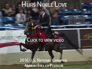 heirs noble love video
